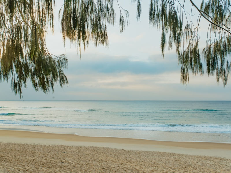 PRAIA DESERTA I