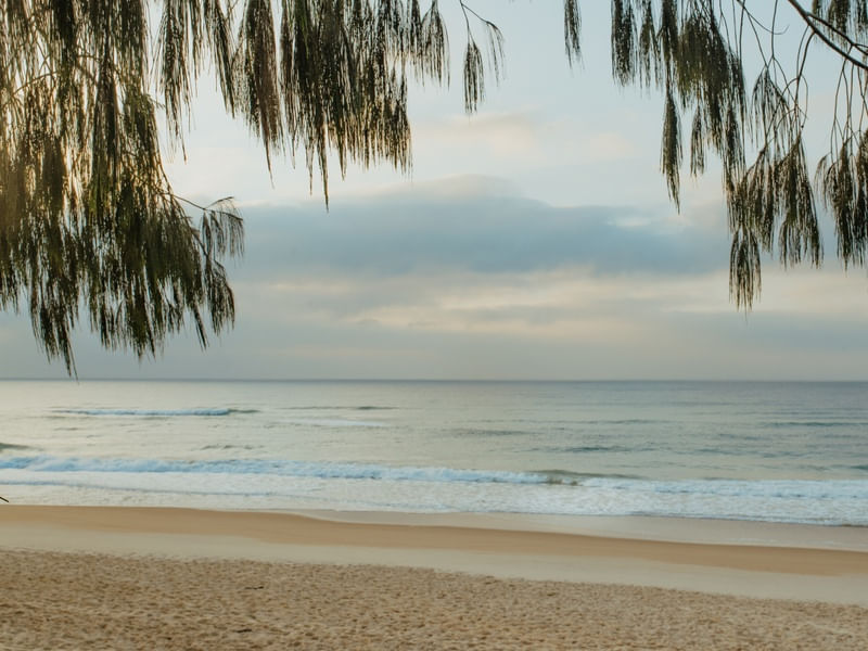 PRAIA DESERTA II