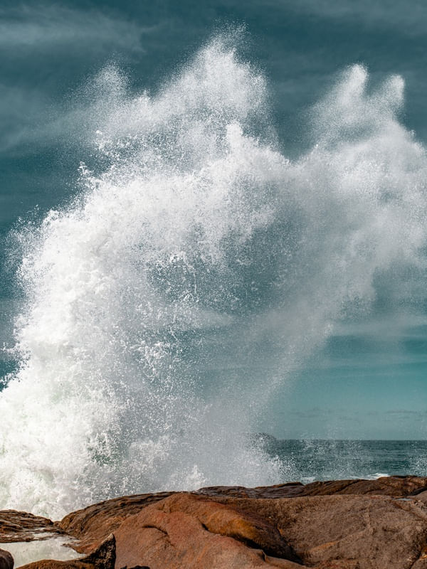 SPLASH OCEAN
