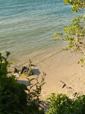 PRAIA 2022