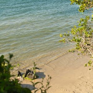 PRAIA 2022.1
