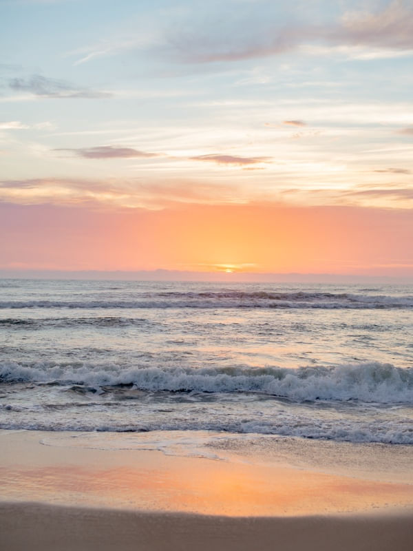 PRAIA C/ ALMA 2022