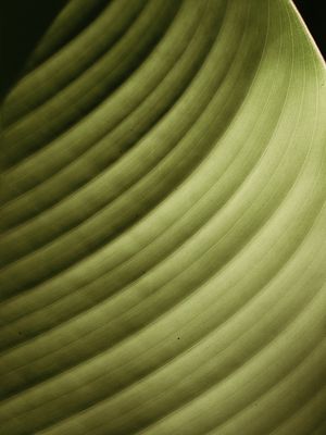 MINIMALIST NATURE 2022