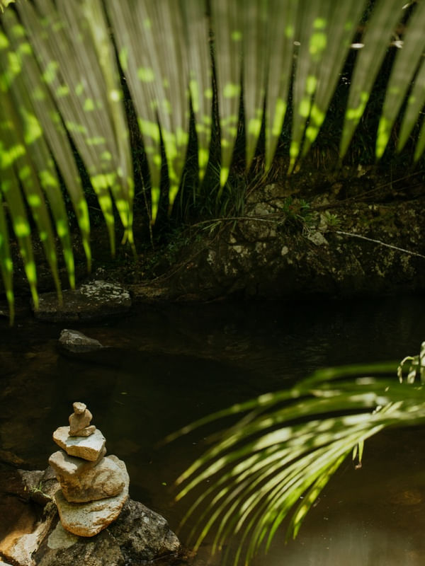NATUREZA PEDRAS