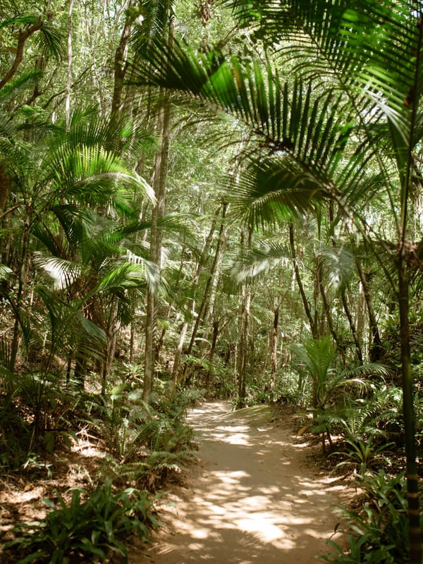 CAMINHO NATURAL 22