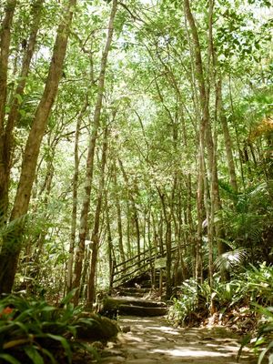 CAMINHO NATURAL 022