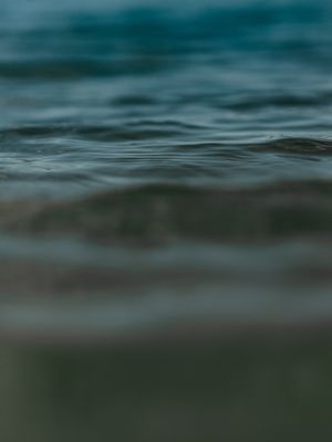 MAR 2022-7