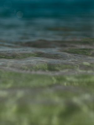 MAR 2022-4