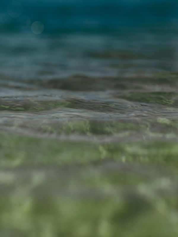 MAR 2022-4