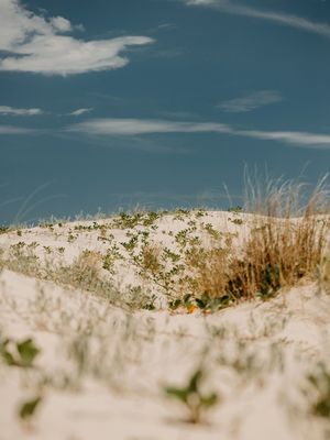 PRAIA CÉU 2022