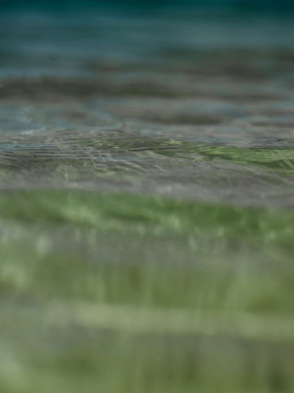 MAR 2022-8