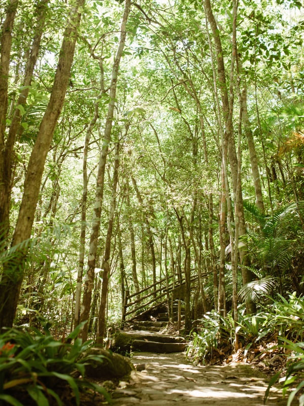 CAMINHO ILUMINADO III