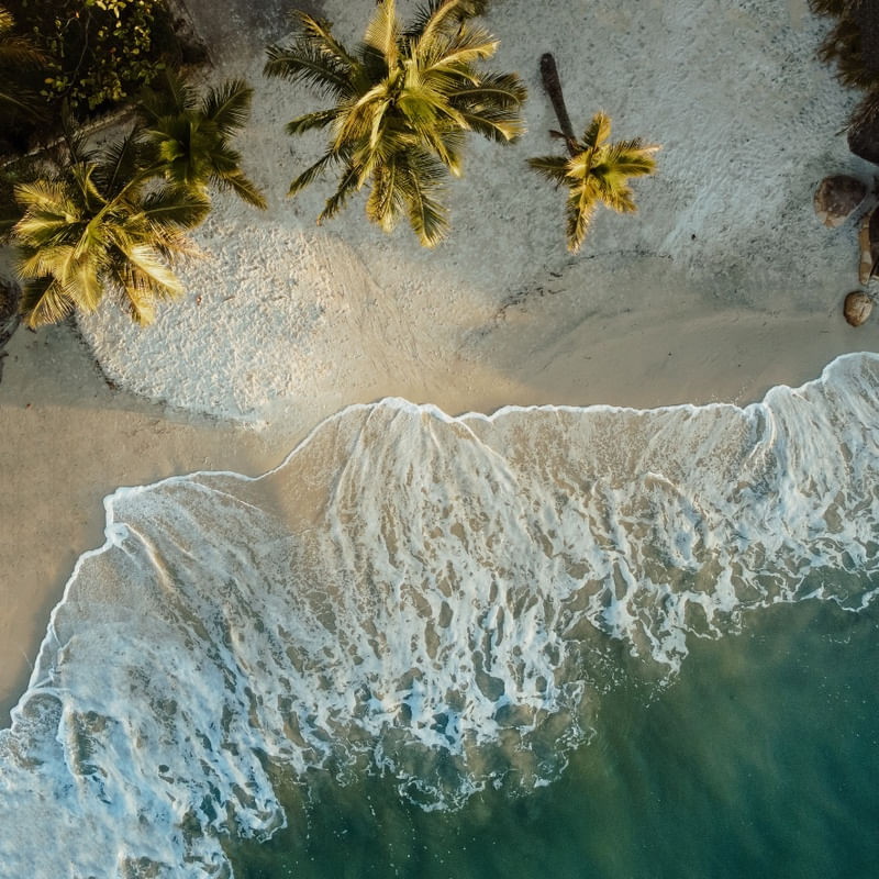 NATUREZA PRAIA COQUEIROS VIBES