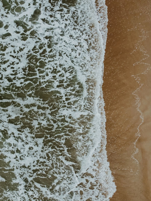 NATURE- BROWN MINIMALIST BEACH