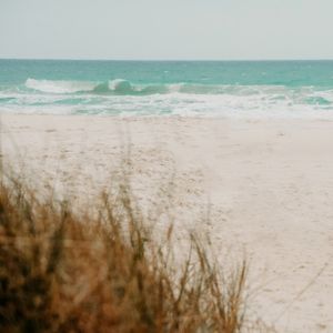 NEUTRAL BEACH II
