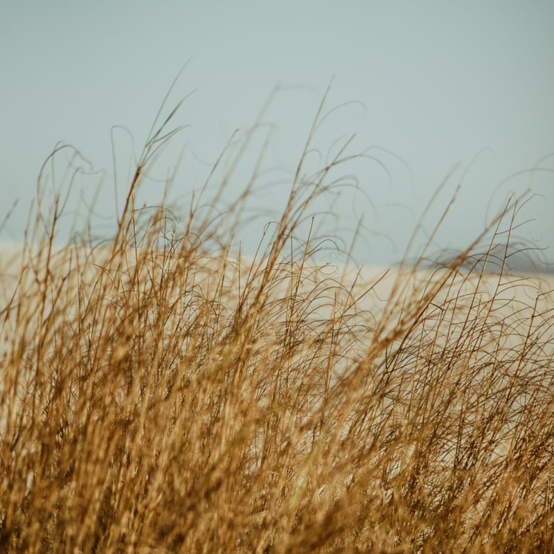 NEUTRAL BEACH III