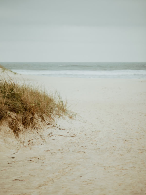 NATURE NEUTRAL BEACH
