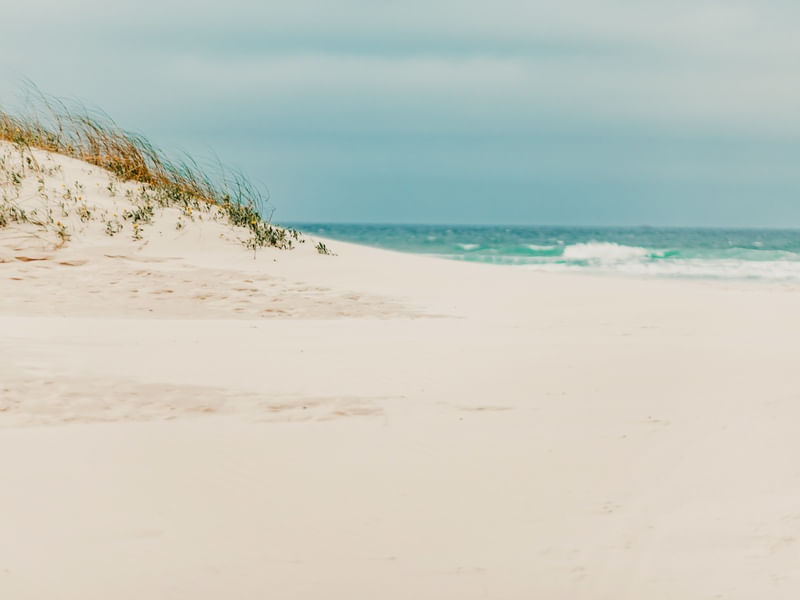 NATUREZA NEUTRAL BEACH II