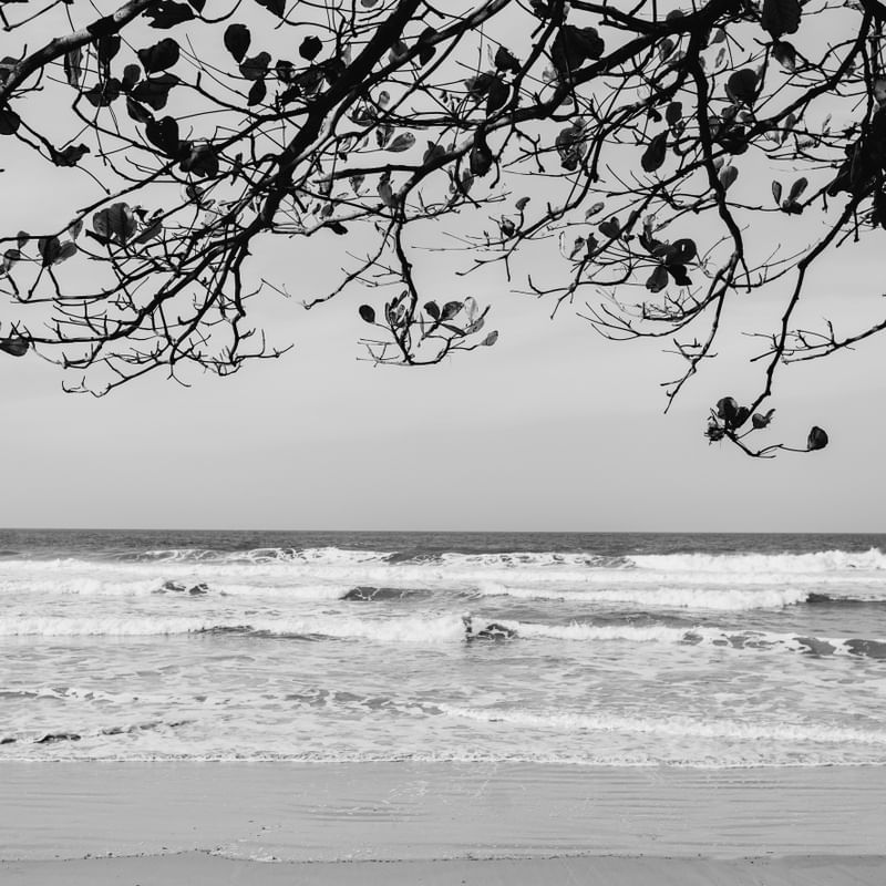 TARDE PRAIANA PB - PRAIA DO MATADEIRO - FLORIANÓPOLIS