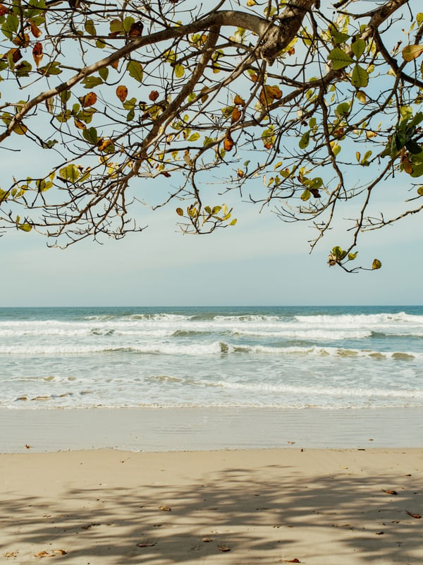 TARDE PRAIANA - PRAIA DO MATADEIRO - FLORIANÓPOLIS II