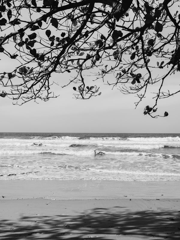 TARDE PRAIANA PB - PRAIA DO MATADEIRO - FLORIANÓPOLIS II