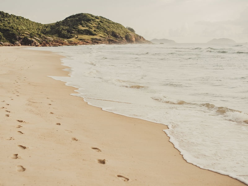 PRAINHA CALMA