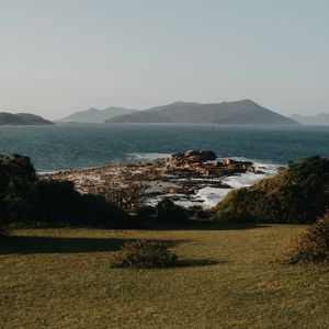 NATUREZA PINHEIRA PONTA DAS ANDORINHAS I