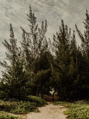 PRAIA FERRUGEM