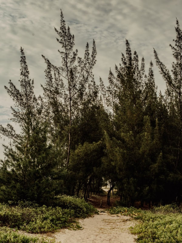 PRAIA FERRUGEM