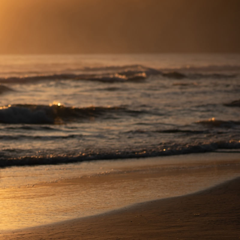 NATUREZA NASCER DOURADO PRAIA