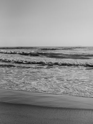 NATUREZA NASCER PRAIA PB - PS I