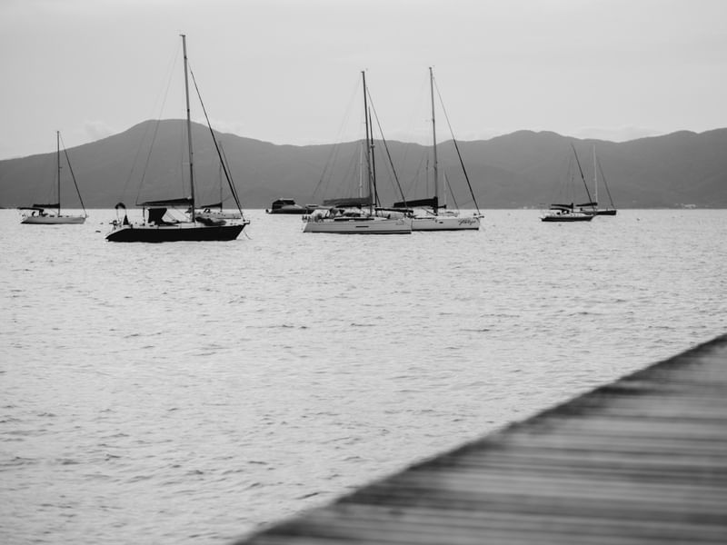 NATUREZA - FINAL DE TARDE MARINAS JURERÊ INTERNACIONAL FLORIANÓPOLIS PB