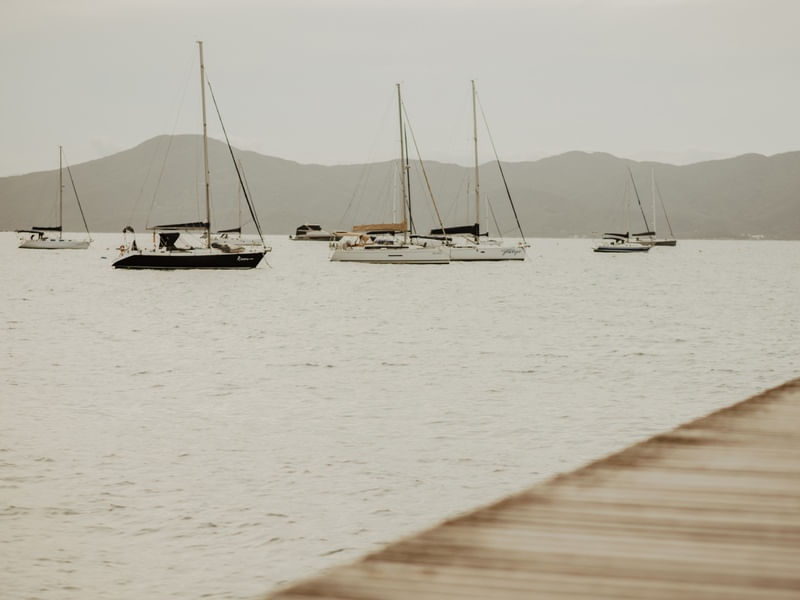 NATUREZA - FINAL DE TARDE MARINAS JURERÊ INTERNACIONAL FLORIANÓPOLIS I