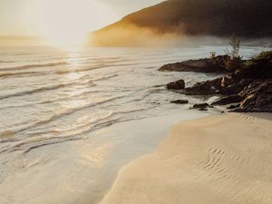 NATUREZA NASCER DOURADO FLORIPA