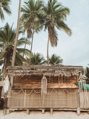 NATUREZA BAHIA VIBES COQUEIROS