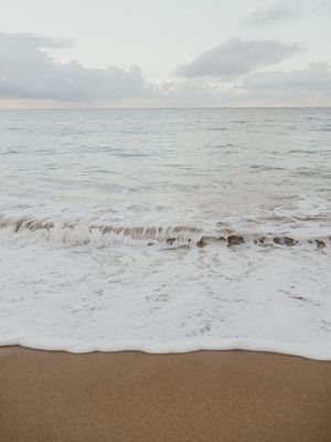 NATUREZA BAHIA MAR V