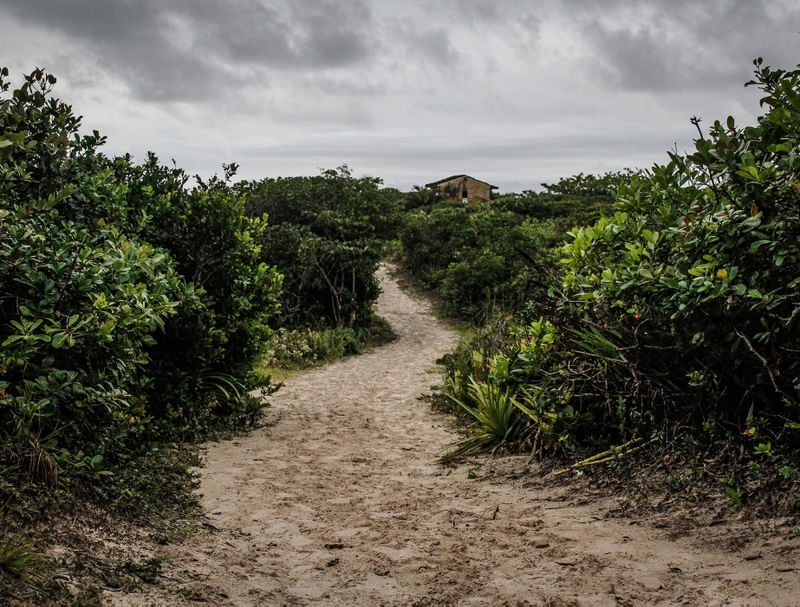 ILHA DO CARDOSO