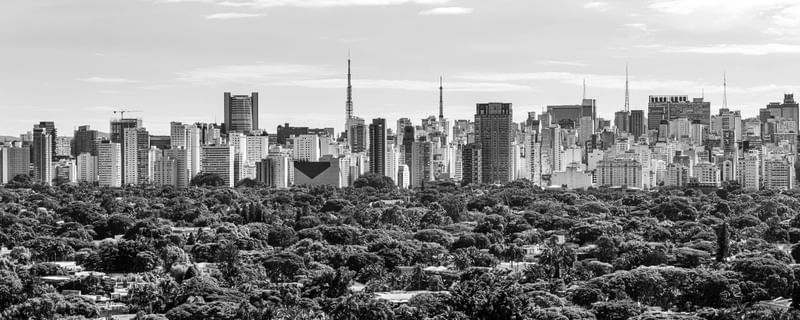 PANORAMA DE SÃO PAULO (ARTE CORRETA - USAR ESTA)