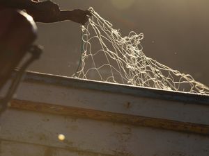 A REDE DE PESCA