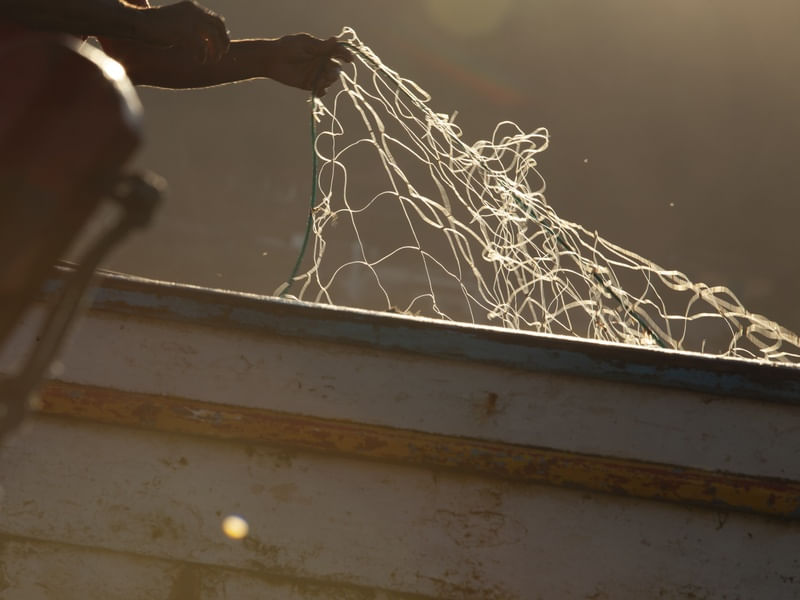 A REDE DE PESCA
