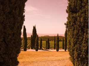 PAISAGEM DA TOSCANA COM CIPRESTES