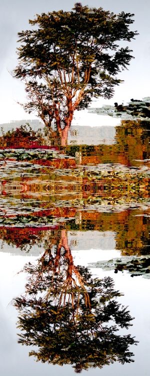 ÁRVORE REFLEXO