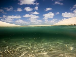 PEIXES NOS LENÇÓIS MARANHENSES