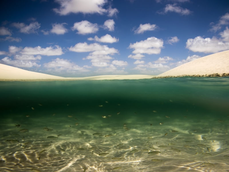 PEIXES NOS LENÇÓIS MARANHENSES
