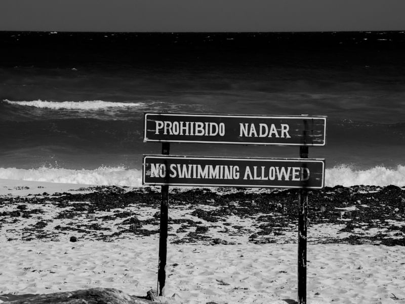 PROIBIDO NADAR