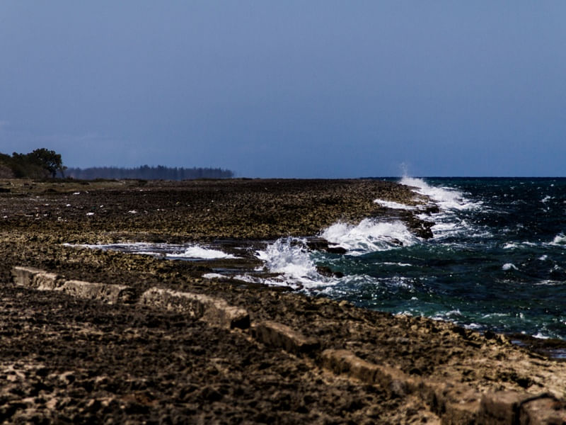 PLAYA CORAL