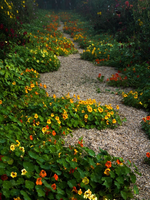 JARDINS DE MONET