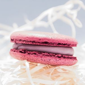 LE MACARON