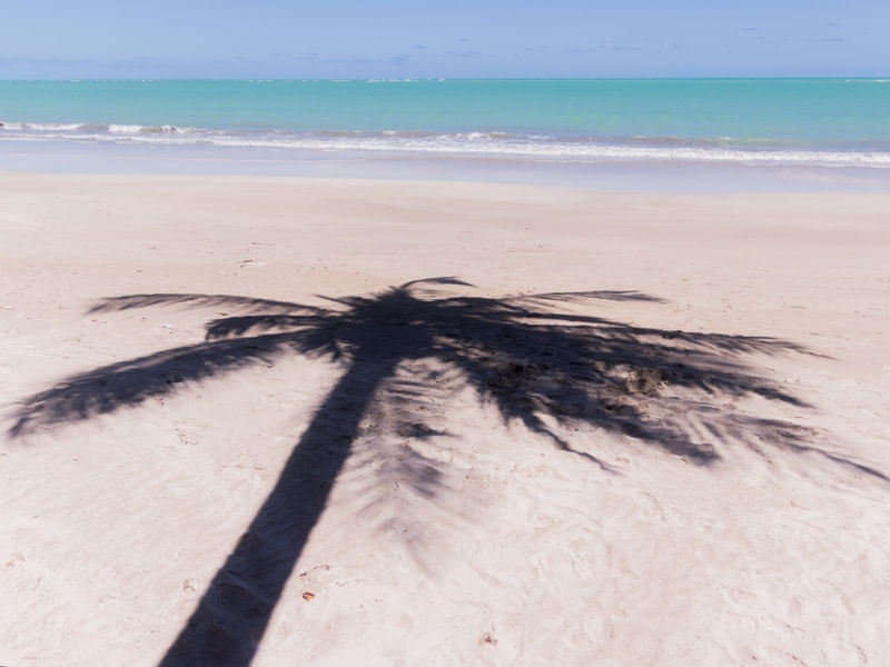 SOMBRA COM ÁGUA FRESCA