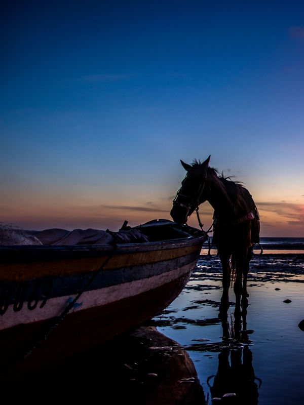 CAVALO NA PRAIA DUPLA 1